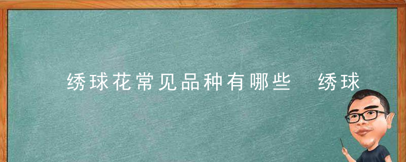 绣球花常见品种有哪些 绣球花常见品种的简介